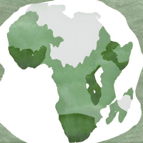 Green consulting in Africa –brand identity and awareness